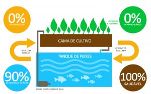 Ecossistema aquapônico. Produção: Kellen Soares