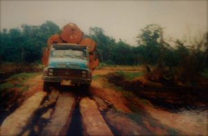 Foto: Ari Dias Rezino - Caminhão carregado com mogno para a Serraria Cáceres