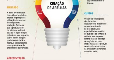 Estrutura organizacional é requisito fundamental para a produção de mel. Fonte: Associação Brasileira de Estudos das Abelhas