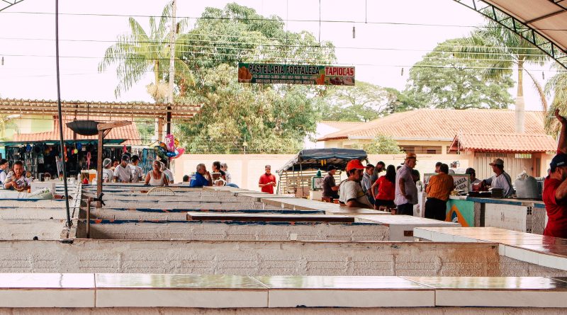 Imagem 07. Fonte- Ingridy Baldez