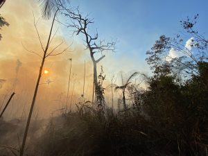 Acervo de fotos Paiter Suruí