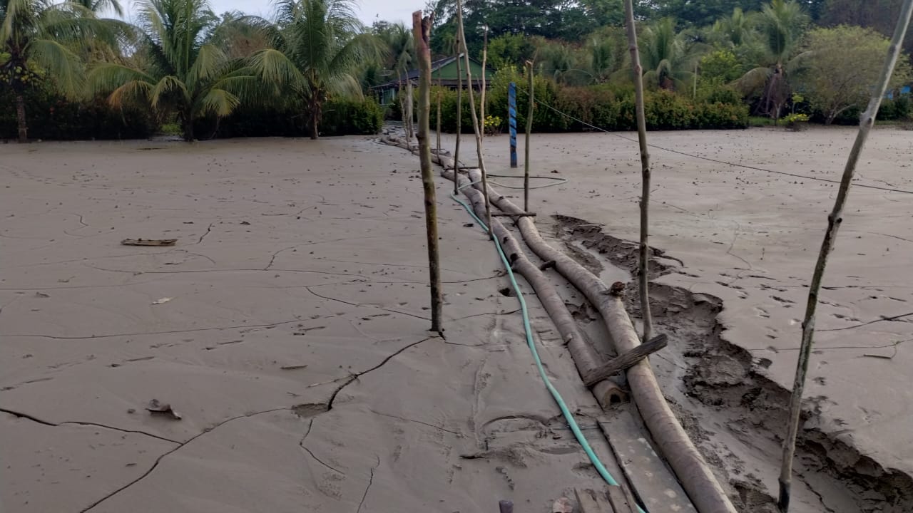 uma casa de cor verde entre um jardim e dezenas de pés de coqueiros, à frente uma ponte improvisada sobre a lama, com fios de bomba dágua e uma mangueira.