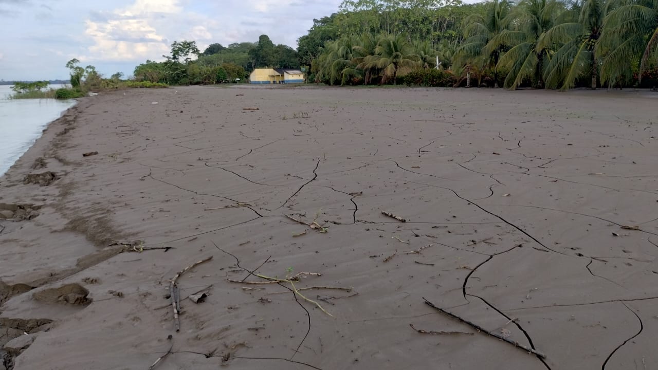 Uma escola, à sua frente, passa o Rio e a floresta atrás. Ao seu redor muita lama secando. No lado direito, dezenas de coqueiros."