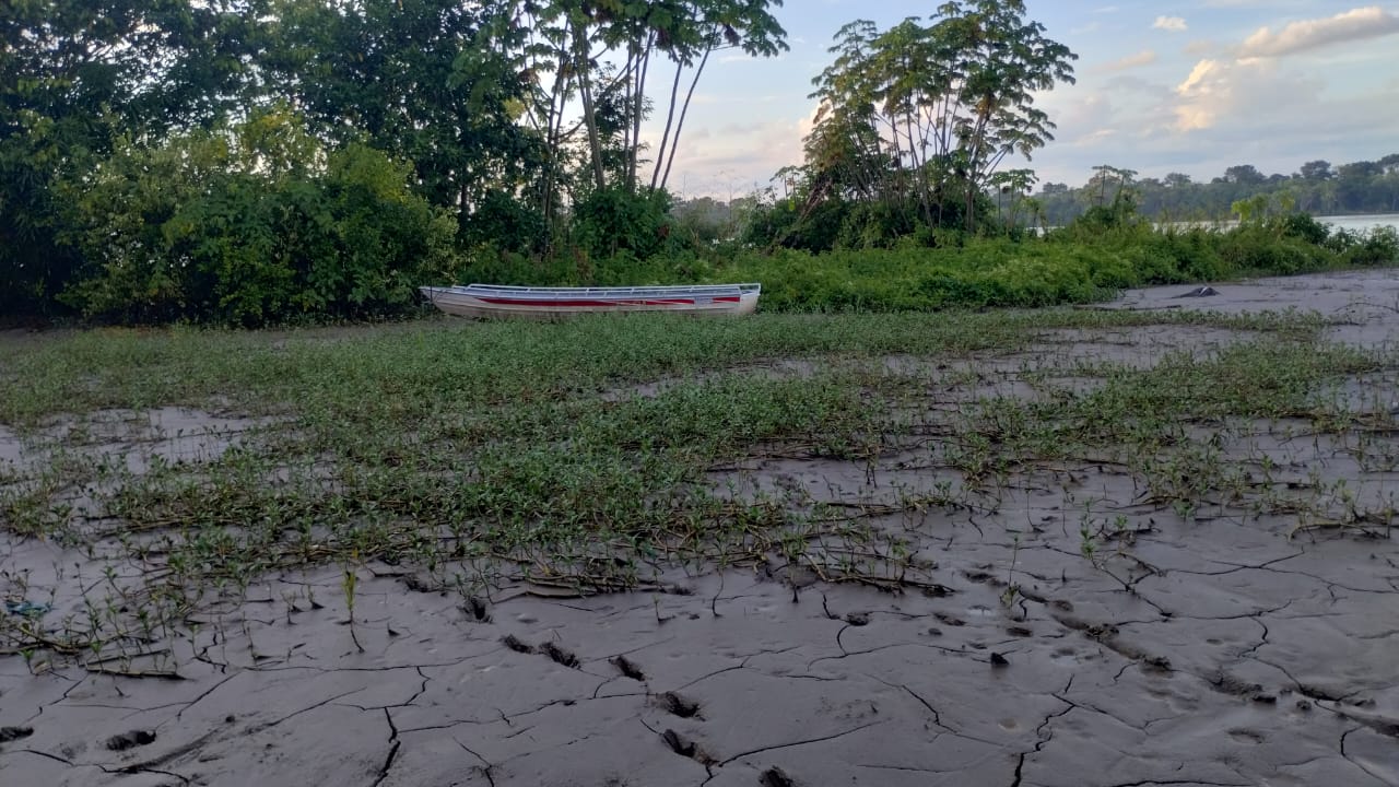 Uma canoa metálica de cor branca e vermelha, à esquerda floresta e à frente o Rio Madeira, atrás lama seca com grama por cima e um pouco de céu a mostra.